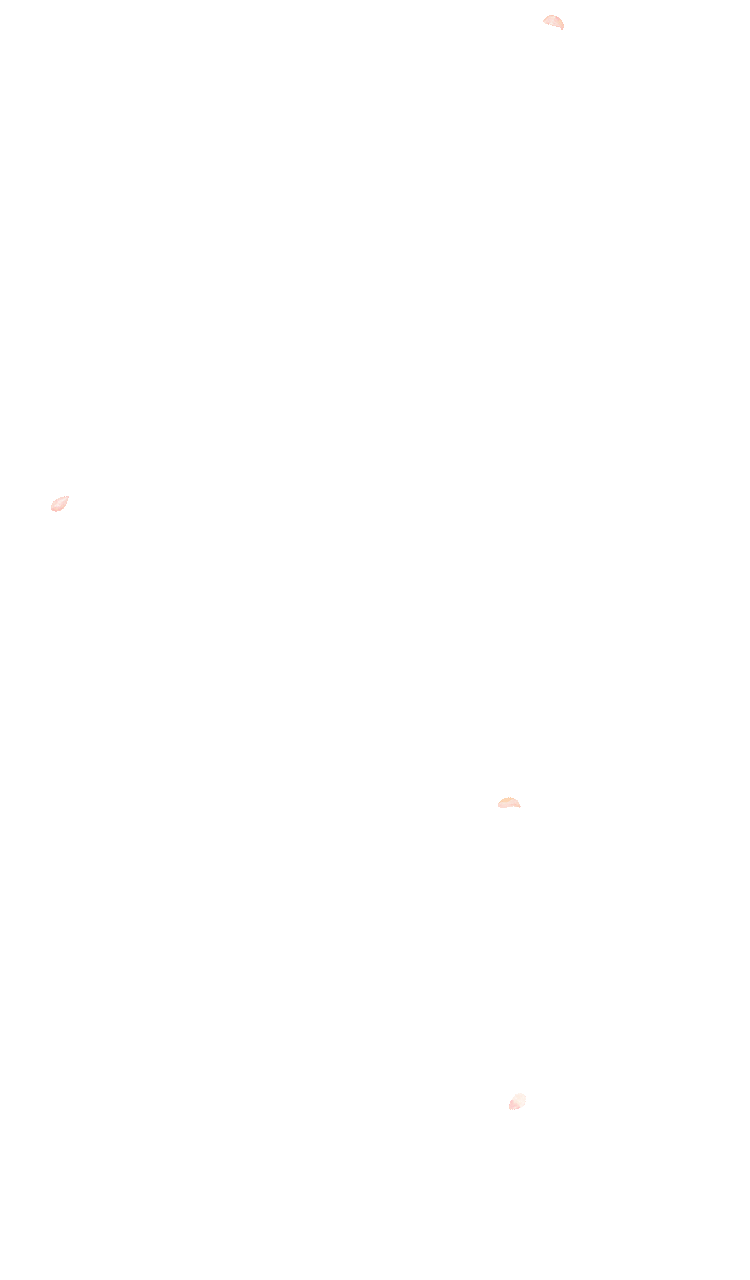1741825366542294 1741825366542294