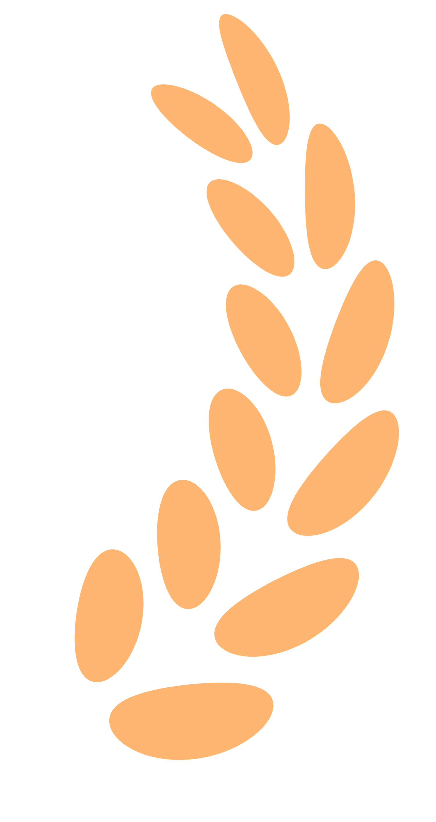 1746601860769353 1746601860769353